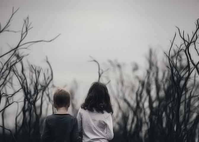 【苹果版】流畅的器测压文章